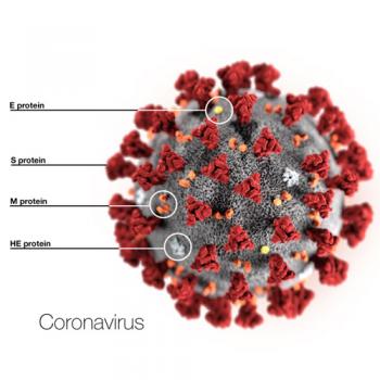 همه چیز درباره کرونا ویروس COVID 2019