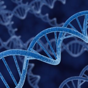 ایده استفاده از DNA برای ذخیره سازی داده‌های دیجیتال