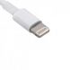 Apple Lightning to USB Cable 2M