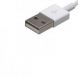 Apple Lightning to USB Cable 2M