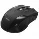 TSCO TM624W Wireless Mouse