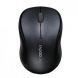 Rapoo 3000P Wireless Mouse