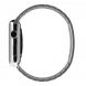 Apple Watch Link Bracelet 42mm