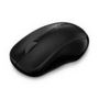 Rapoo 1620 Wireless Mouse