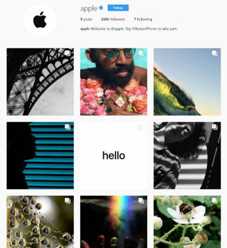 صفحه‌ رسمی اپل در اینستاگرام آغاز به کار کرد