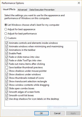 تنظیمات Performance Options